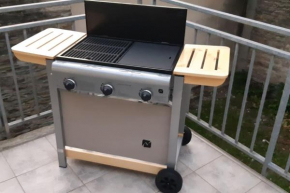 CHE F3 gauche Terrasse jardin barbecue hypercentre wifi